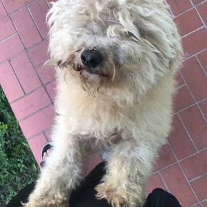 Meet your Posher, Deivid